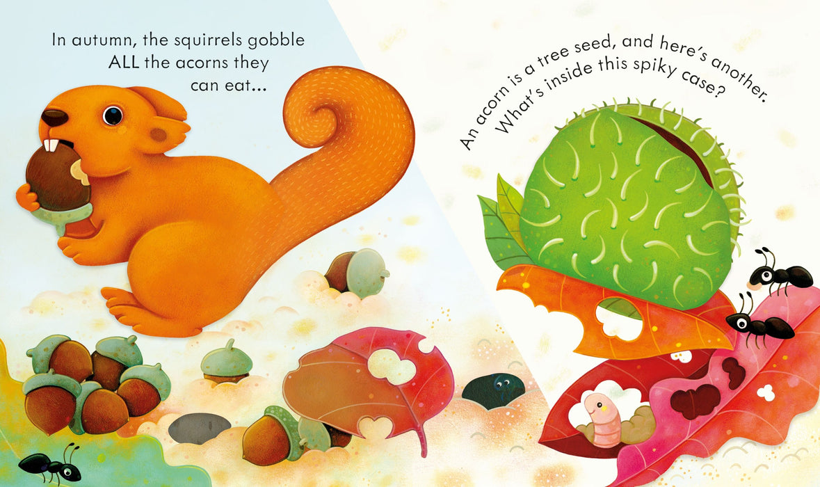 Usborne Peep Inside Autumn