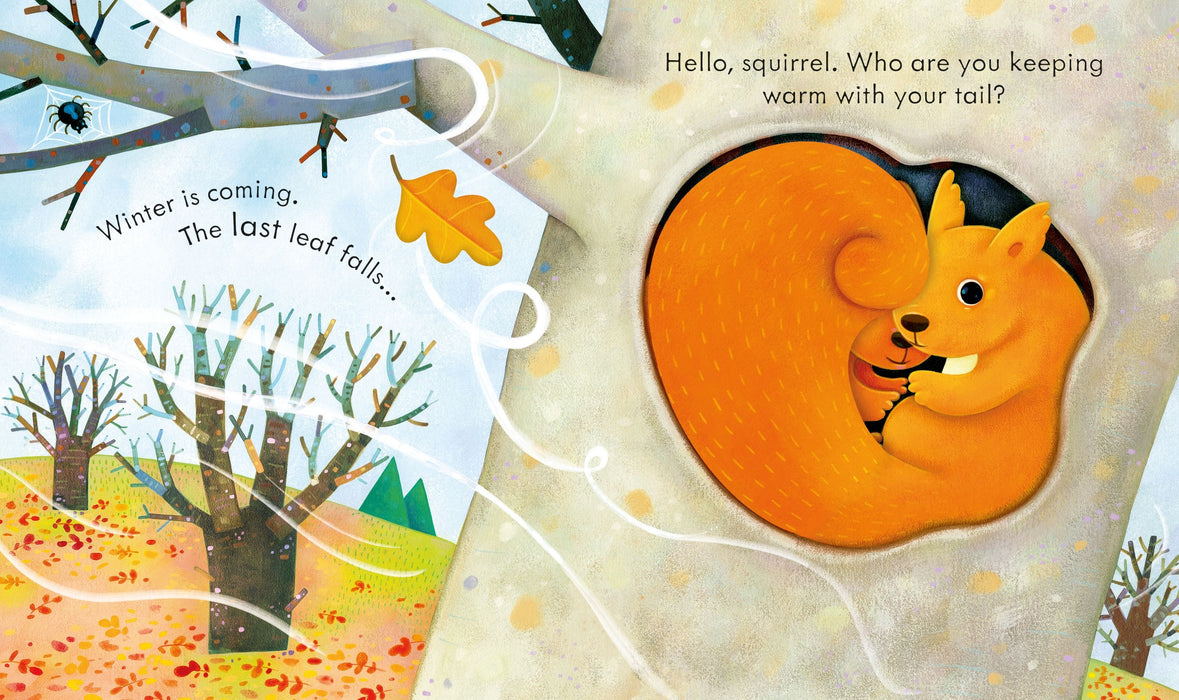 Usborne Peep Inside Autumn