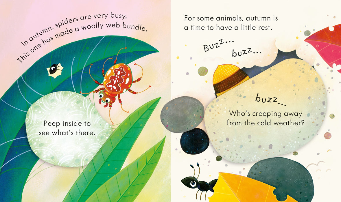 Usborne Peep Inside Autumn
