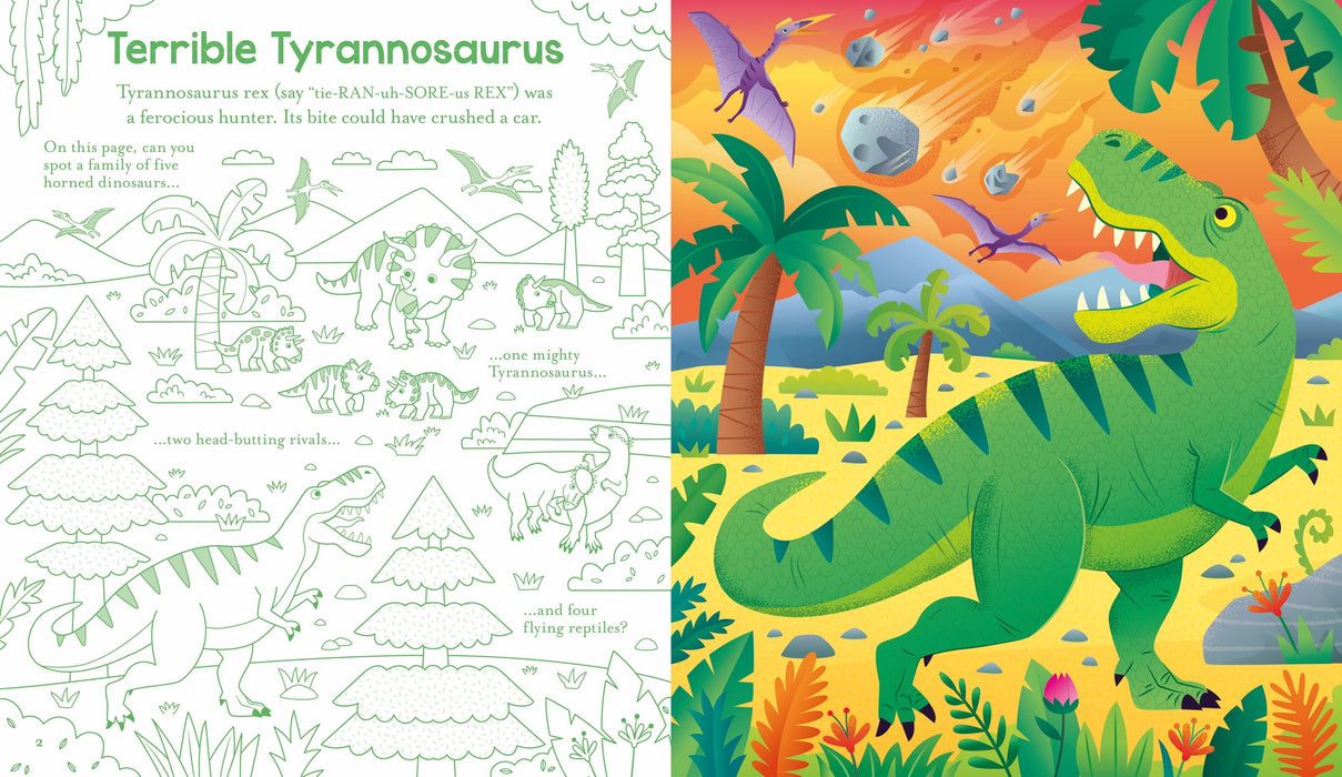 Usborne Scratch Activities Dinosaurs