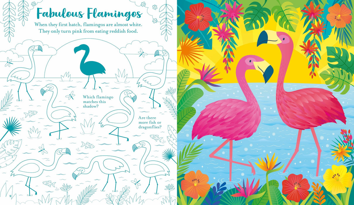 Usborne Scratch Activities Animals