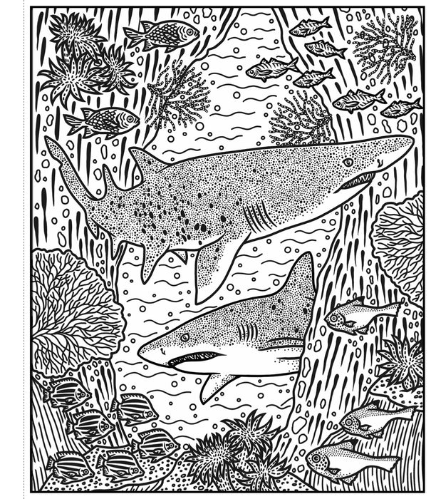 Usborne Sharks Magic Painting Book