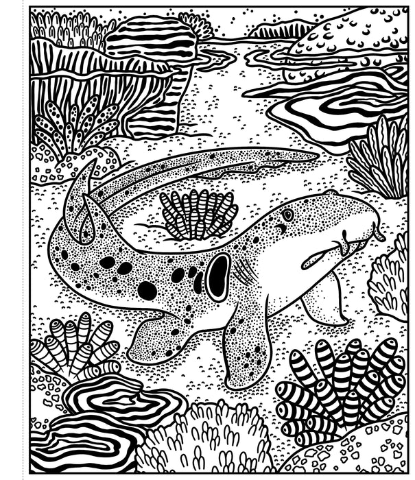 Usborne Sharks Magic Painting Book