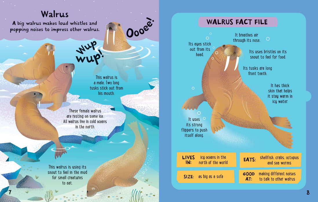 Usborne Slot-together Sea Creatures Book