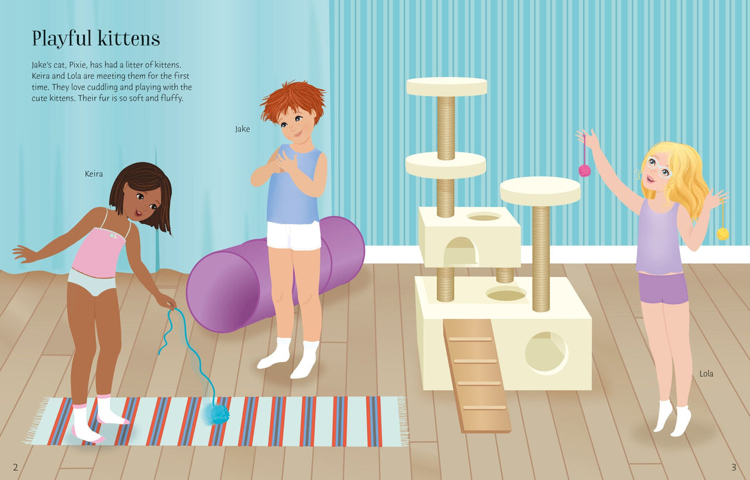 Usborne Sticker Dolly Dressing Pets