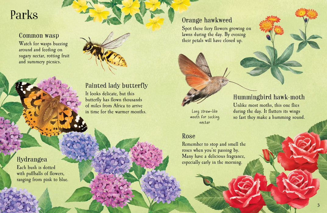 Usborne Things To Spot In Summer Book