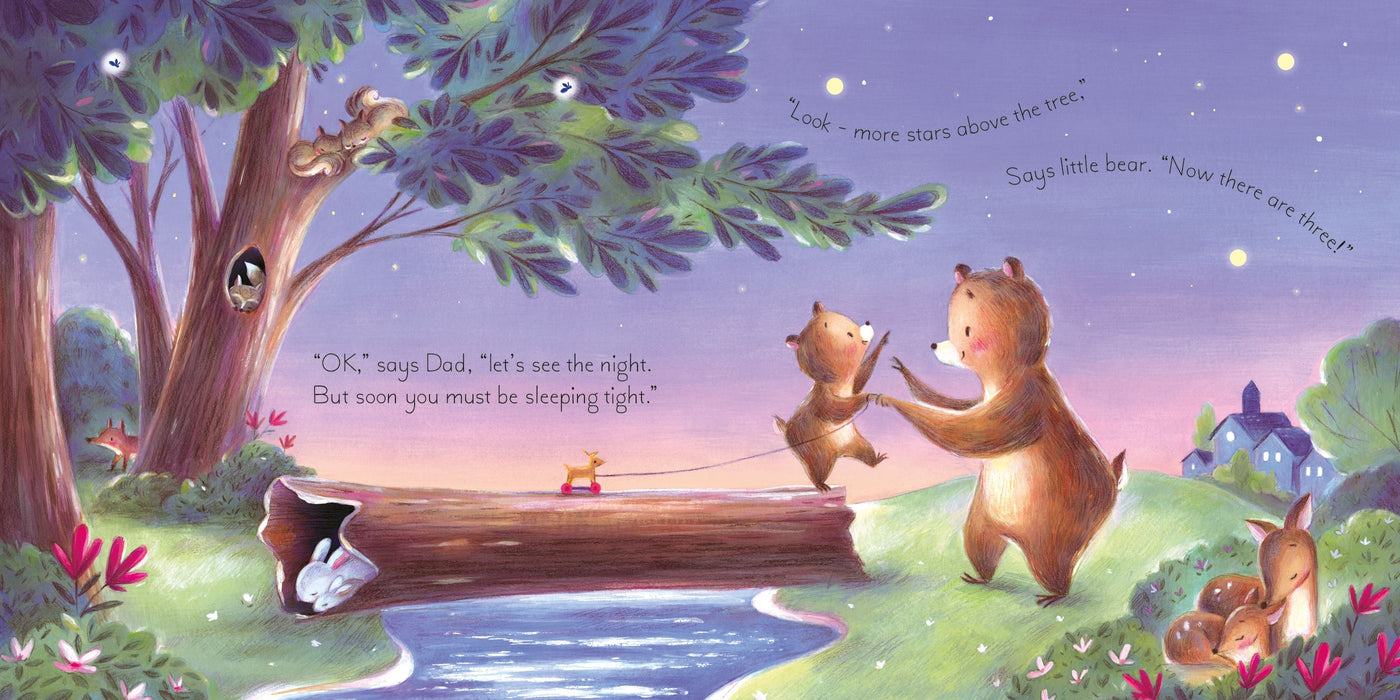 Usborne The Twinkly Twinkly Bedtime Book