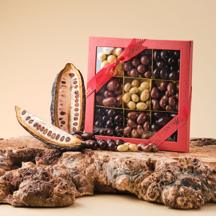 Walnut Tree Nine Section Chocolate Covered Nut Box