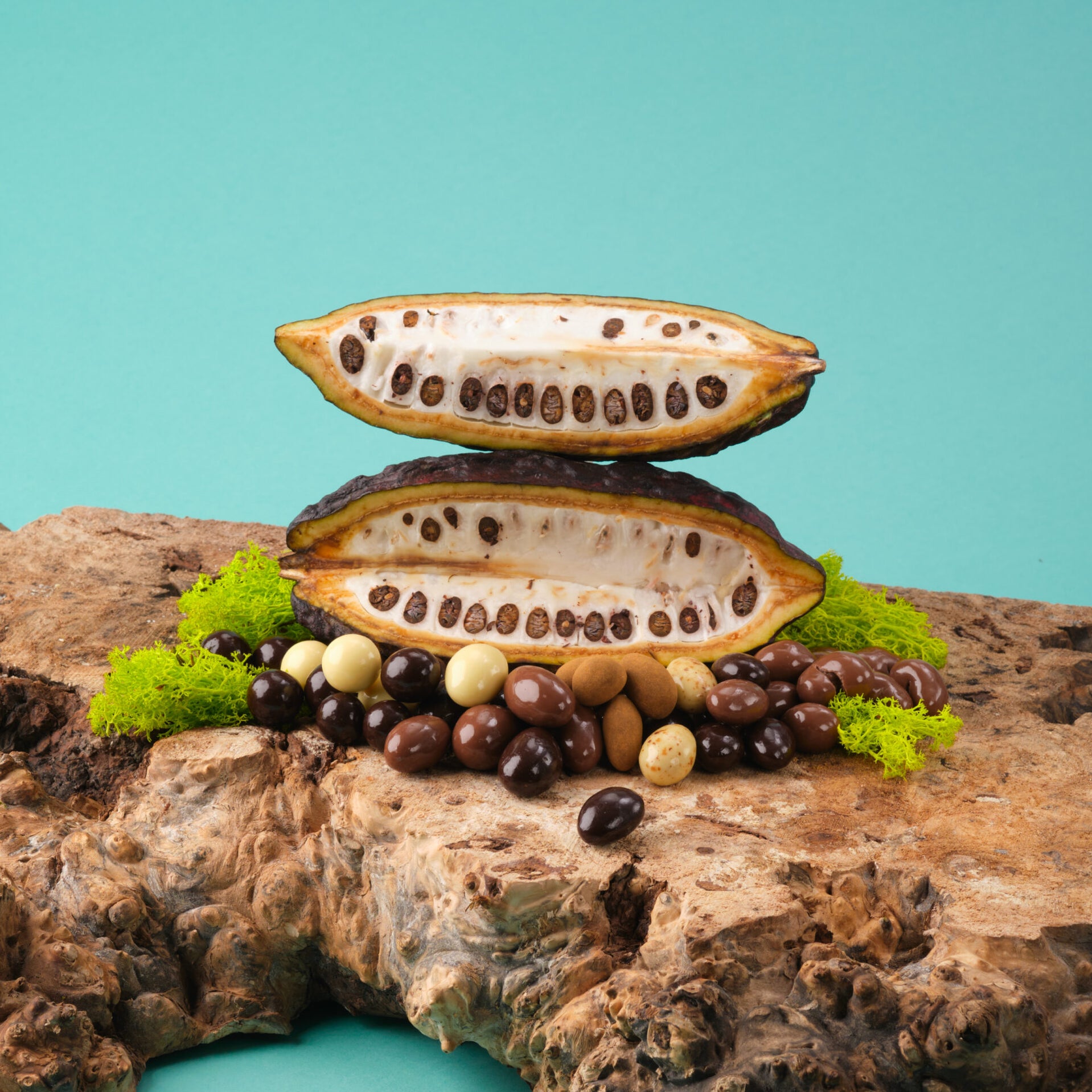 Walnut Tree Nine Section Chocolate Covered Nut Box — Maple Gifts