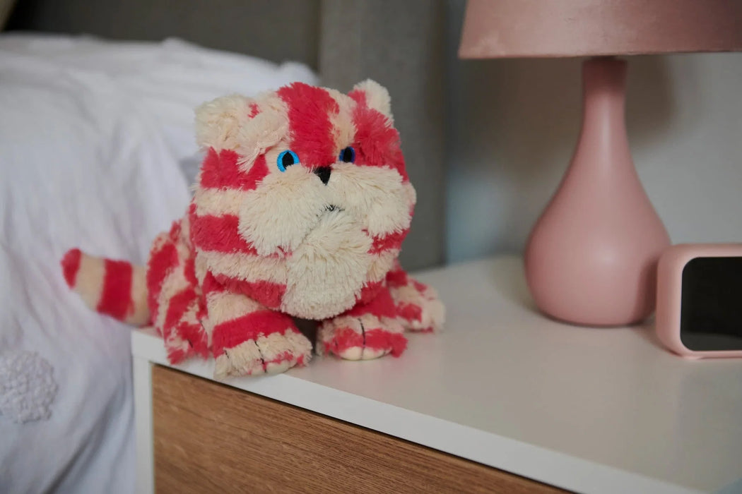 Warmies® Bagpuss® Cat