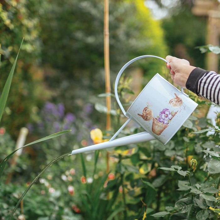 Wrendale Designs 'Pottering About' Wren Watering Can