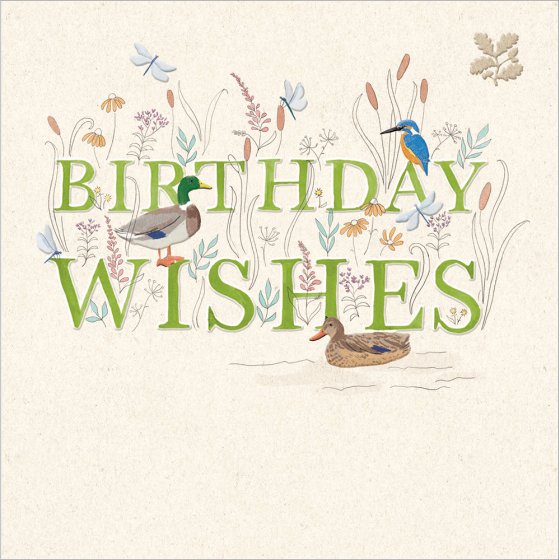 Woodmansterne 'Amongst The Reeds' Birthday Card