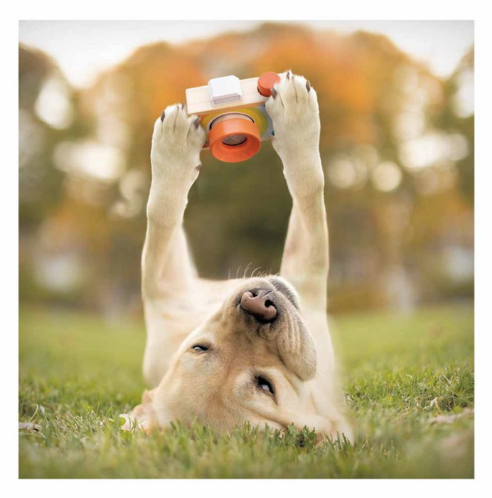 Woodmansterne 'Cheese!' Greeting Card