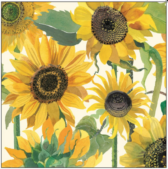 Woodmansterne Emma Bridgewater 'Sunflowers' Greeting Card