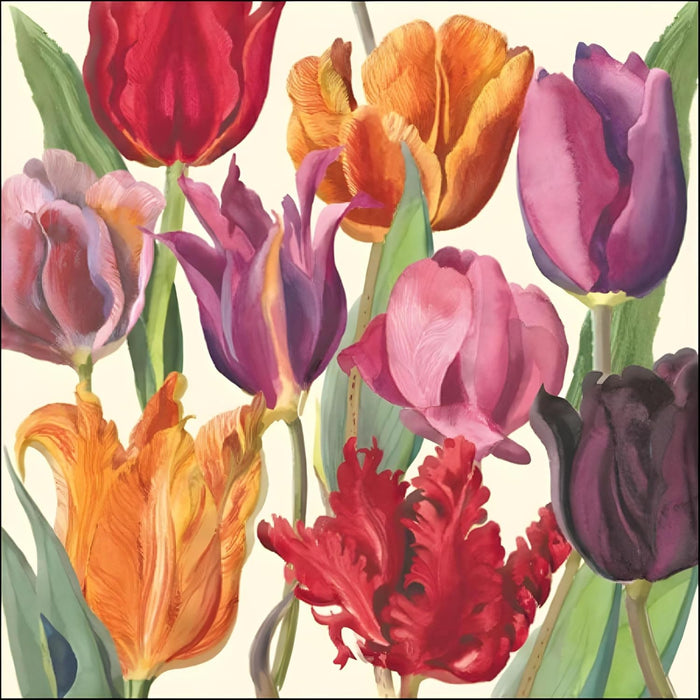 Woodmansterne Emma Bridgewater 'Colourful Tulips' Birthday Card