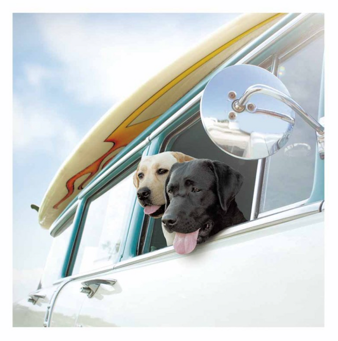 Woodmansterne 'Adventure Time' Greeting Card