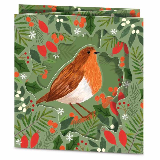 Woodmansterne 'Christmas Robin' Christmas Card Box