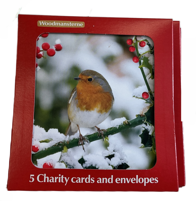 Woodmansterne 'Open' Christmas Card Box Set