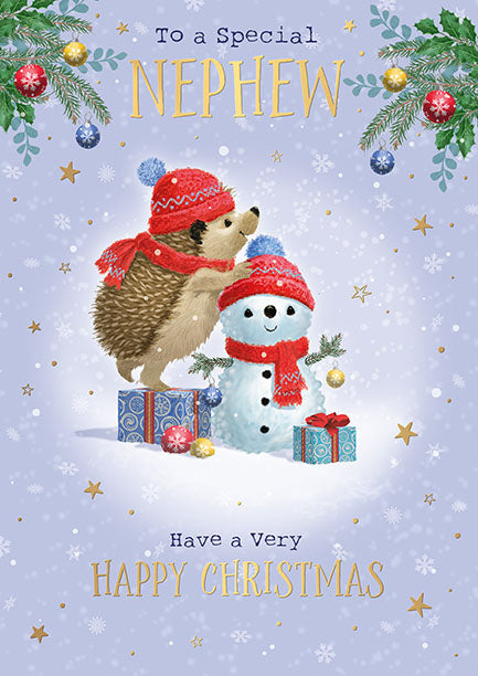 Words N Wishes "To A Special Nephew" Christmas Card