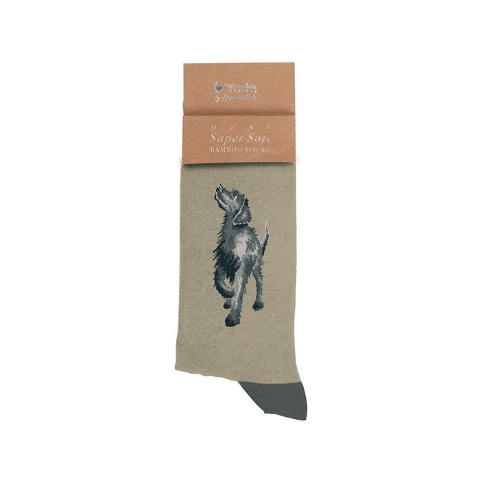 Wrendale 'Walkies' Labrador Men's Socks