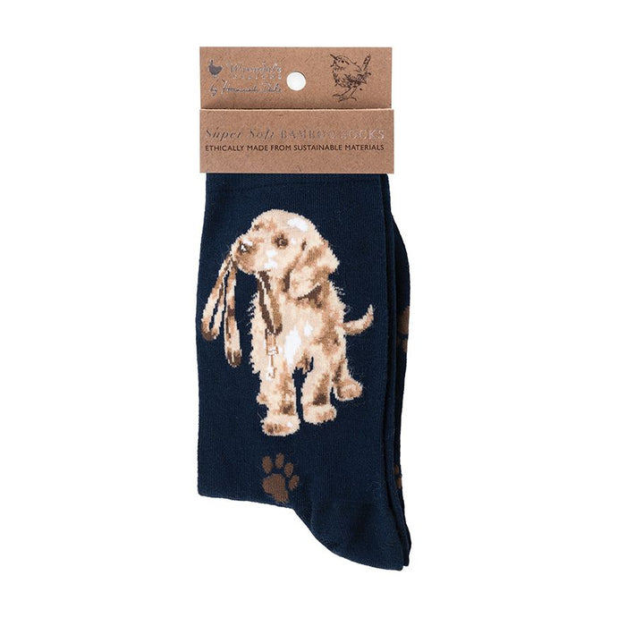 Wrendale Designs 'Hopeful' Labrador Socks