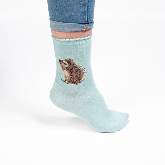 Wrendale Designs 'Hedgehugs' Hedgehog Socks