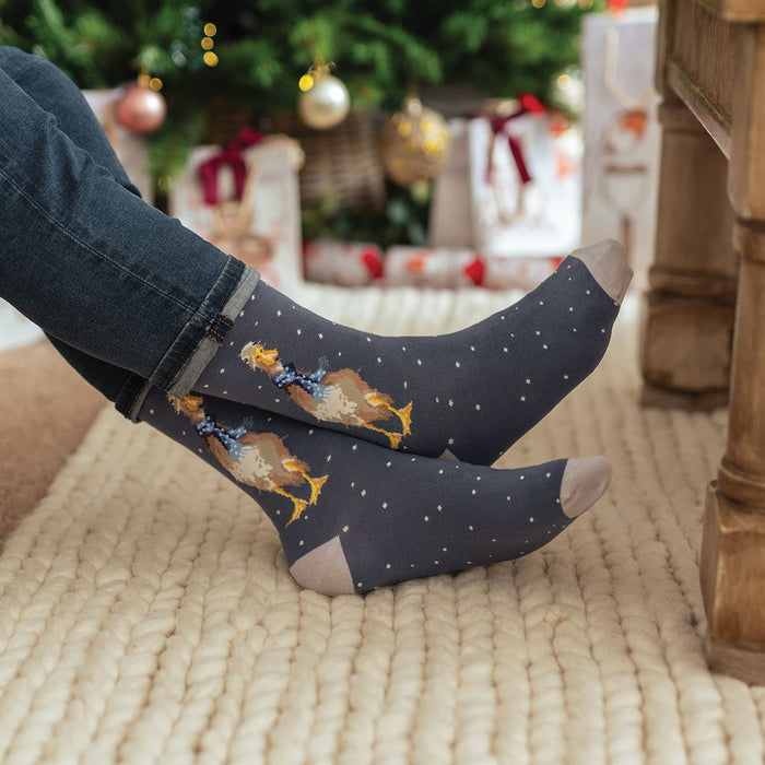 Wrendale 'Christmas Scarves' Duck Men's Socks