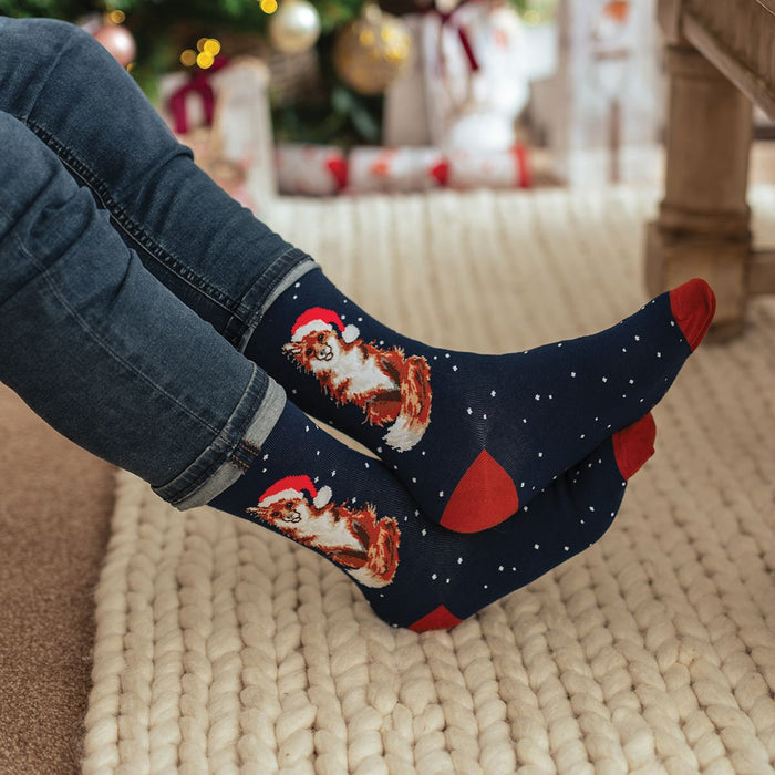 Wrendale 'Festive Fox' Fox Men's Socks