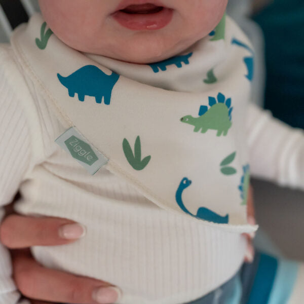 Ziggle Dino Print Bib