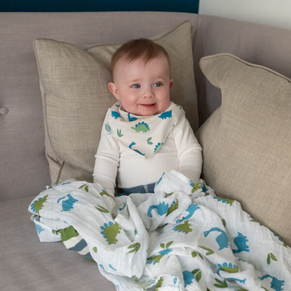 Ziggle Dino Print Bib