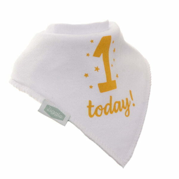 Ziggle 1 Today Bib