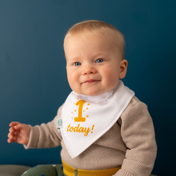 Ziggle 1 Today Bib