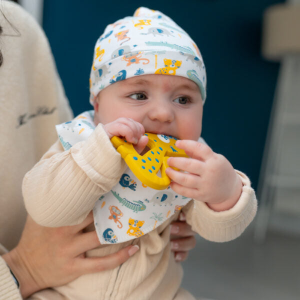 Ziggle Savanna Animals Bib