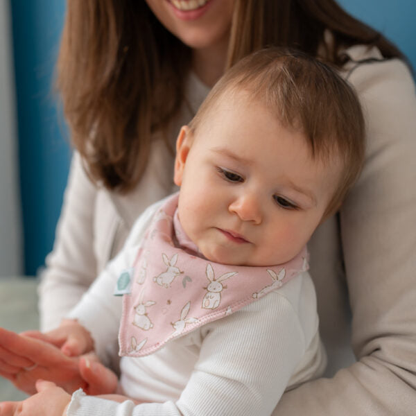 Ziggle Bunnies On Pink Bandana Bib