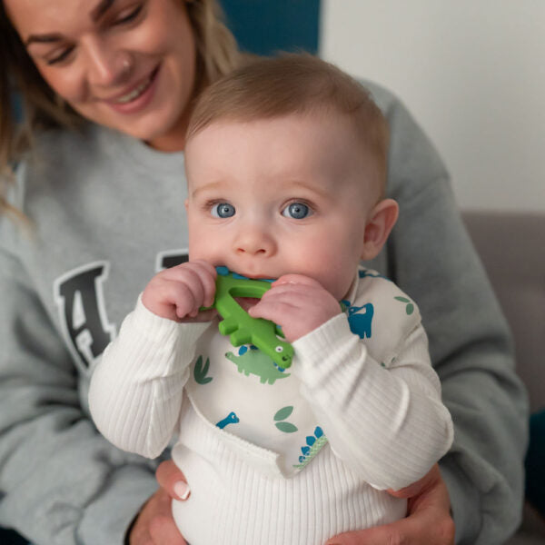 Dinosaur Teether