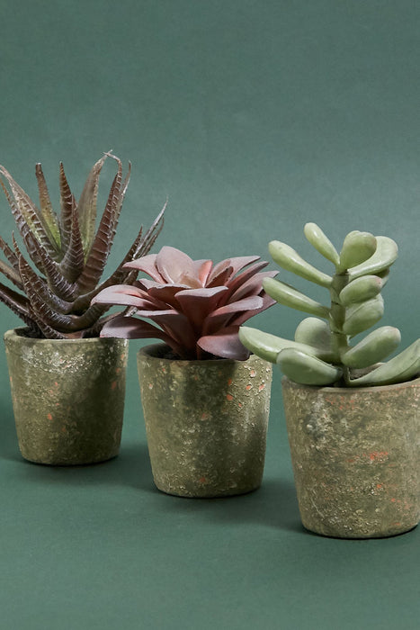 Assorted Faux Potted Succulent