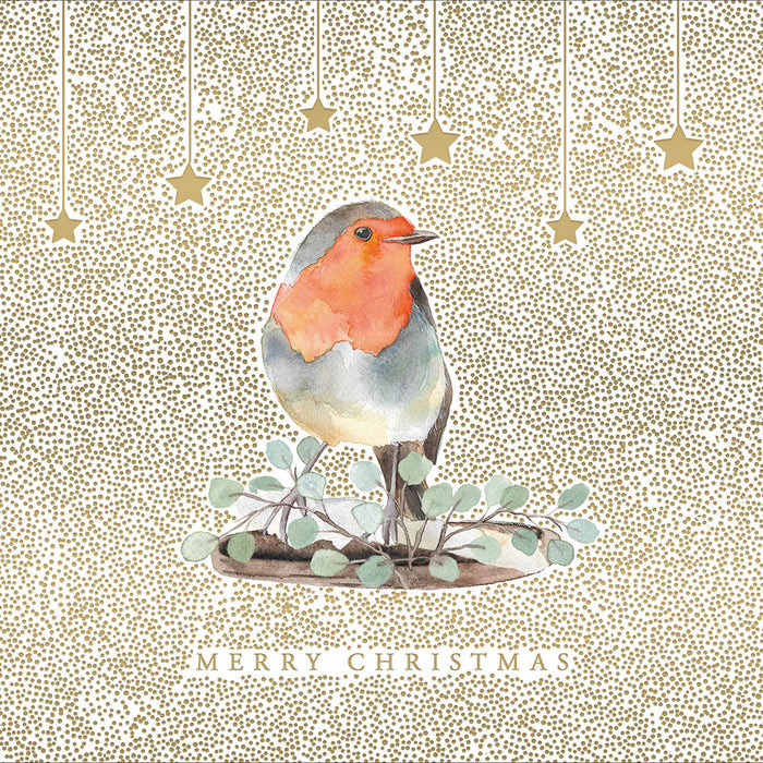 Woodmansterne 'Christmas Robin Box' Christmas Box