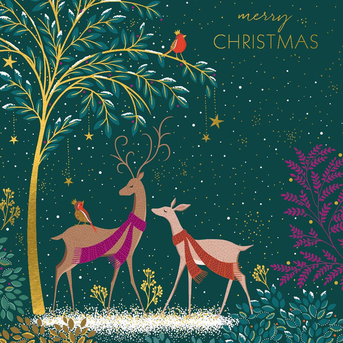 Art File Deer & Robin Pack of 8 Christmas Cards
