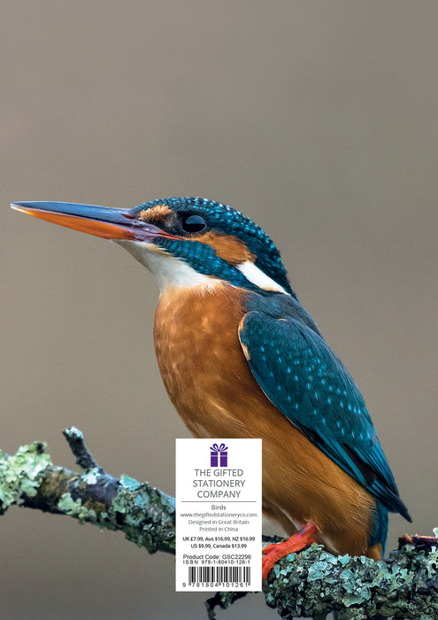 The Gifted Stationery Company 2023 A5 Padded Diary - Birds