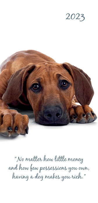 The Gifted Stationery Company 2023 Pocket Diary - Adorable Dogs