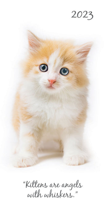 The Gifted Stationary Company 2023 Pocket Diary - Cute Kittens