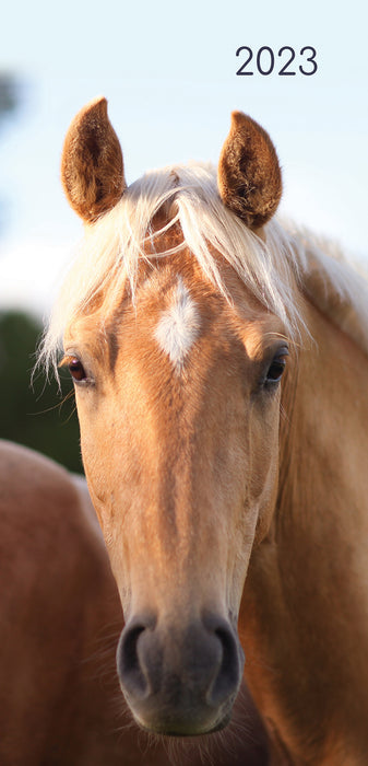 The Gifted Stationery Company 2023 Pocket Diary - Horses