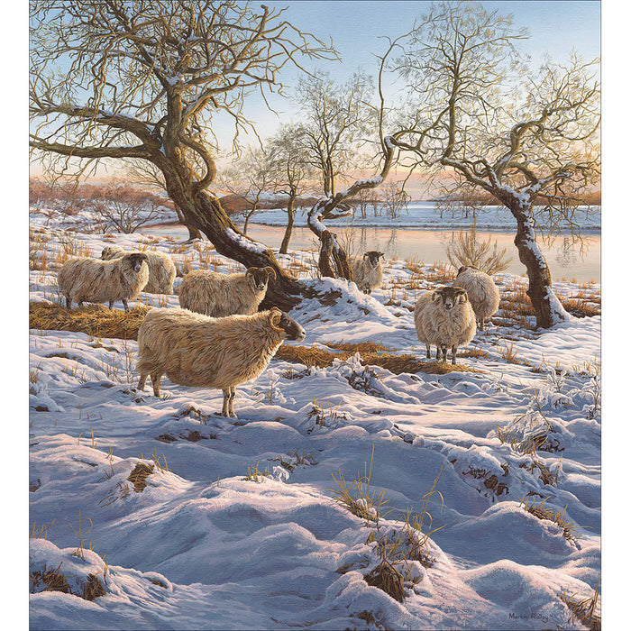 Woodmansterne 'Winter by the River' Christmas Card