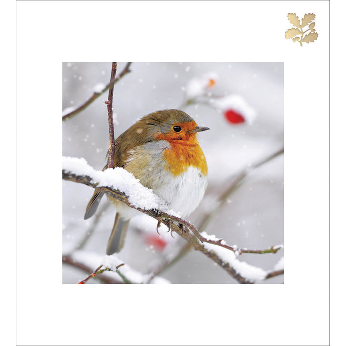 Woodmansterne 'Robin Redbreast' Christmas Card