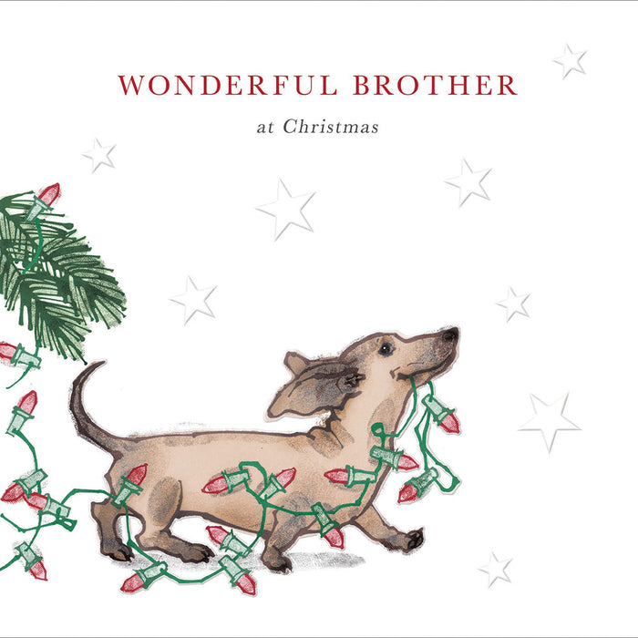 Woodmansterne 'Christmas Fun' Christmas Card