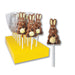 Hand Decorated Milk Chocolate Easter Bunny with Carrot Lollipops