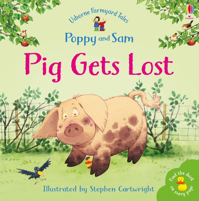 Usborne Poppy & Sam Farmyard Tales Stories Pig Gets Lost Book