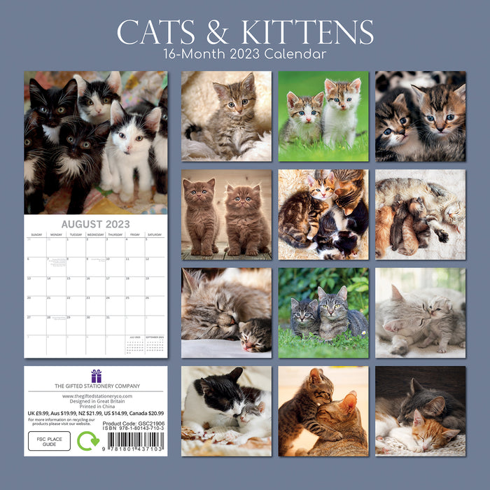 The Gifted Stationary Company 2023 Square Wall Calendar - Cats & Kittens