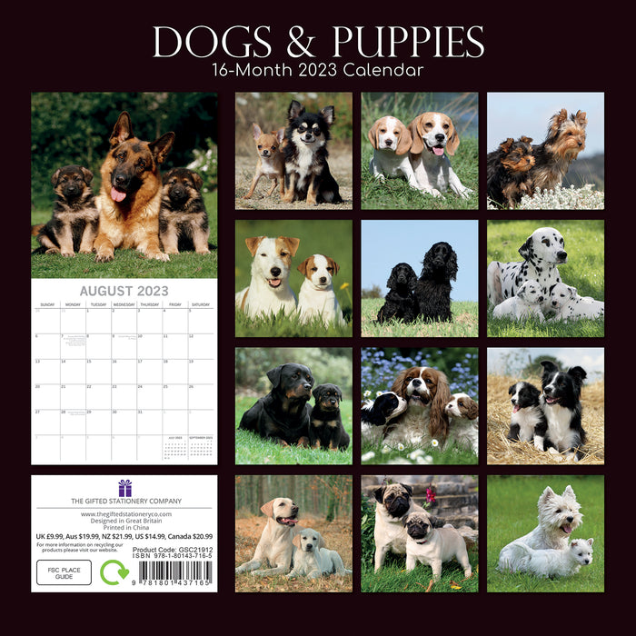 The Gifted Stationary Company 2023 Square Calendar - Dogs & Puppies