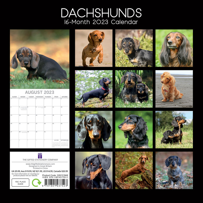 The Gifted Stationary Company 2023 Square Calendar - Dachshunds